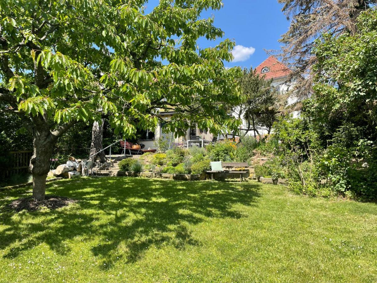 Haus Welzel Villa Dresden Bagian luar foto